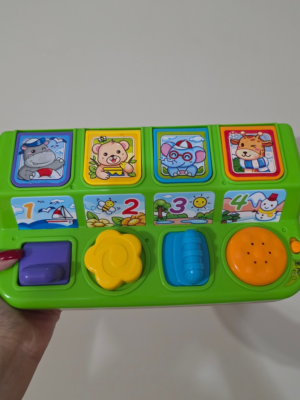 Pop-Up Toy for Kids